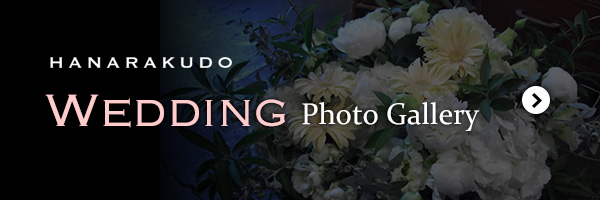 Wedding Photo Gallery